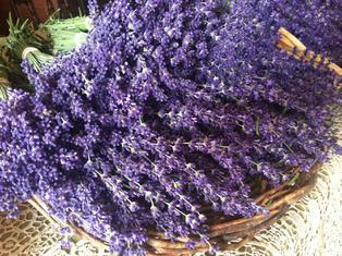 DLM Lavender Fields Day Spa with Tote Bag